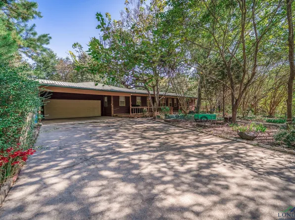 13731 Shamrock Rd, Diana, TX 75640