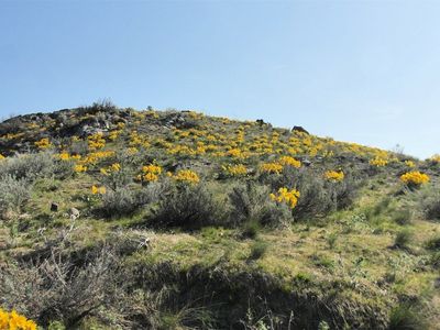33 Avery Road, Pateros, WA, 98846