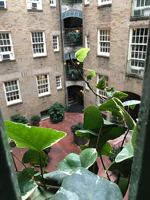 Rented by Compass | media 18