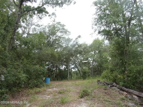 164 LAKE CIRCLE, Satsuma, FL 32189