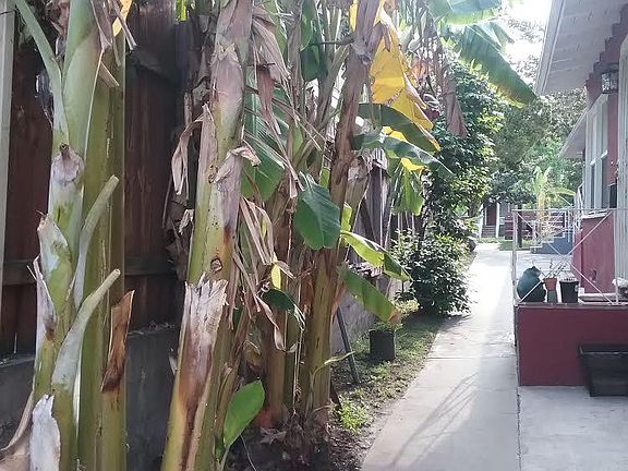 4th image of 610 Fremont Ave