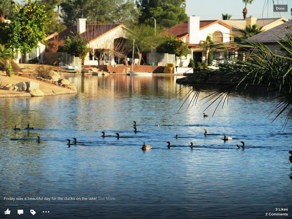 Lakefront backyard view