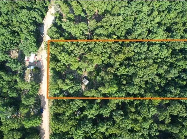 61 Barnes Rd, Evening Shade, AR 72532