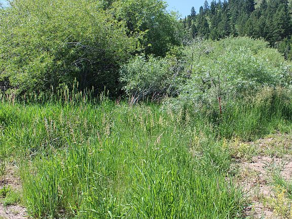 5th image of LOT 5 Lochawe Ln