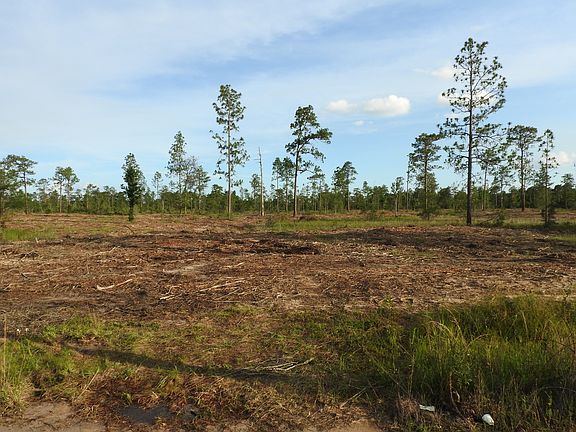 5th image of Cypress Lake Dr