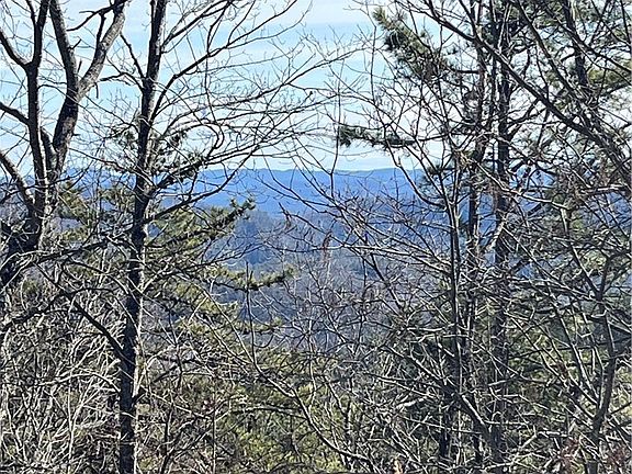 4th image of LOT 99 Nightshade Road