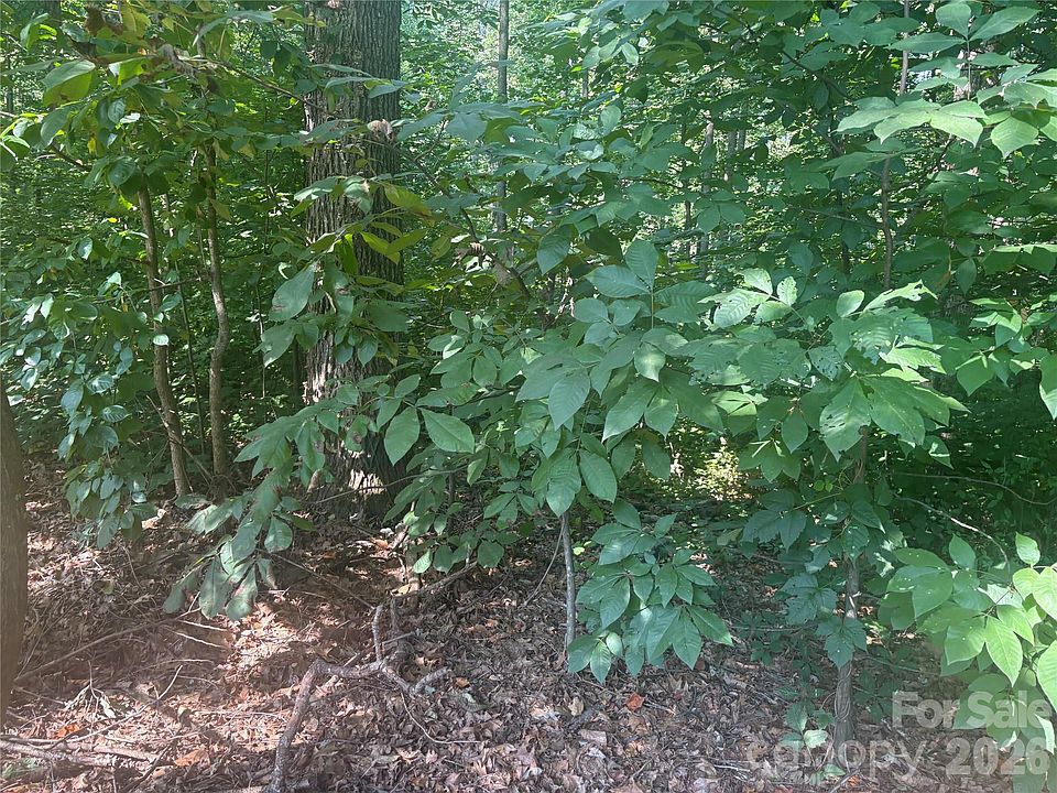 2nd image of 427 Deauville Rd