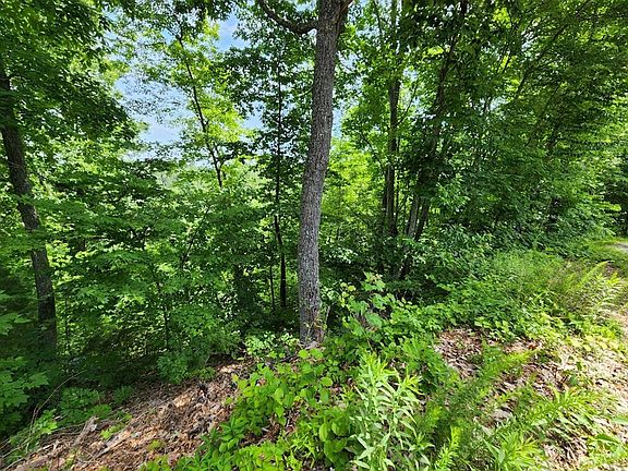 2nd image of 601 High View Ct