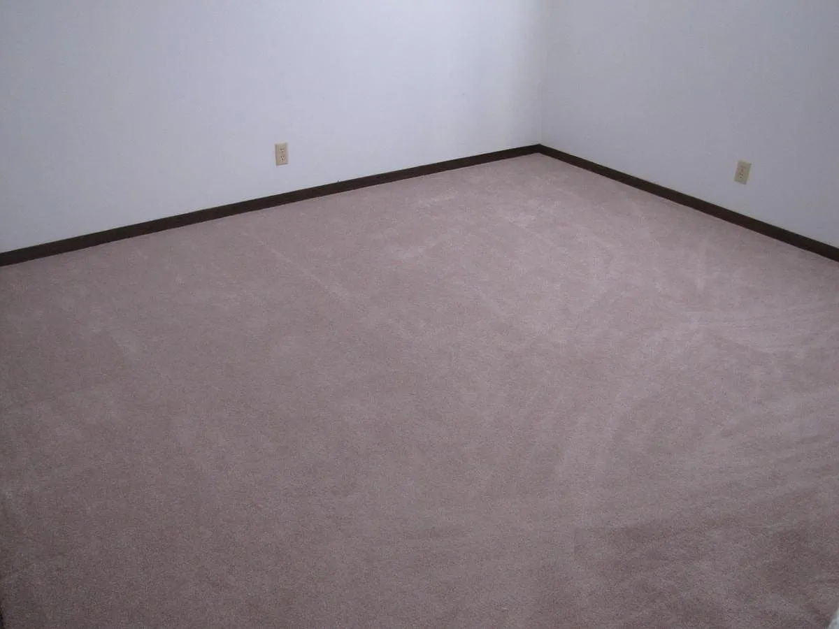 1 bed, $765 — Photo 3