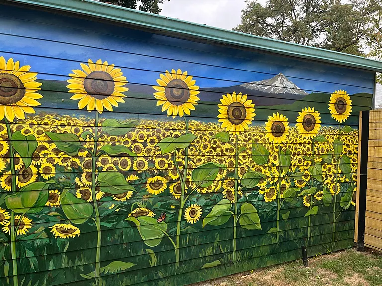 Close Up. Gorgeous mural done by local artist Allison McClay. Look, you can see Mt. Hood from your house. ;-)