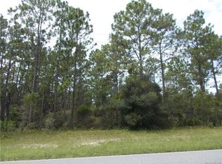 4228 W Citrus Springs Blvd, Citrus Springs, FL 34433