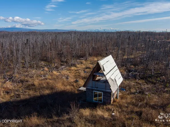 41357 W Krantz Rd, Willow, AK 99688