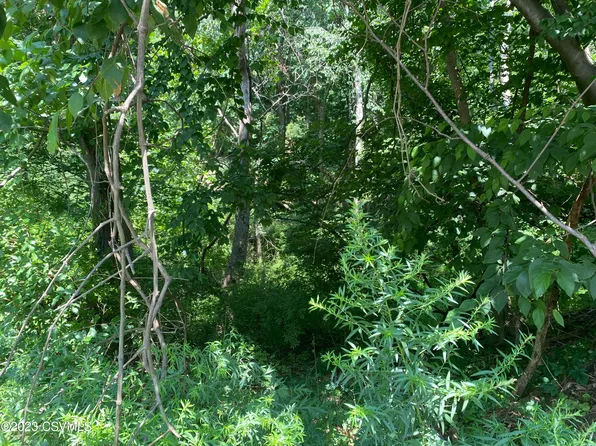 Route 11 Hwy, Shickshinny, PA 18655