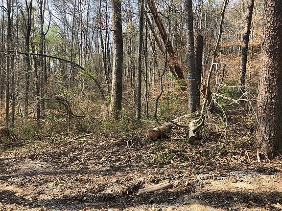 5th image of 725 Shipley Farm Ln