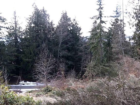 3rd image of 9999 Cedar Gln
