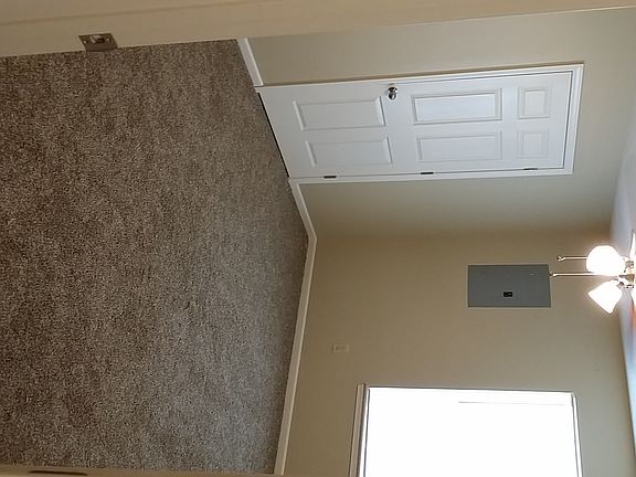 4th image of 3617 Pimlico Dr