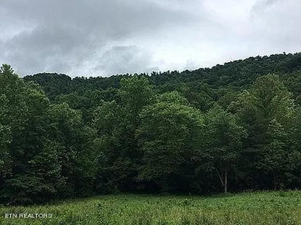 0 Stanley Creek Rd Lot 7, Oneida, TN 37841