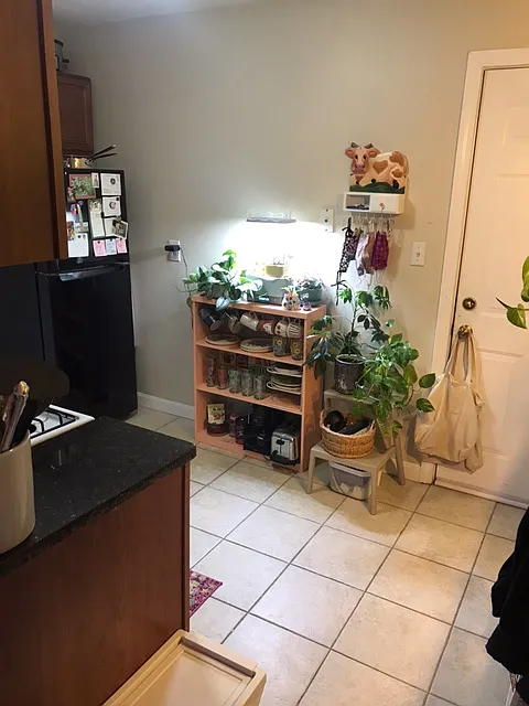1 bed, 1.0 bath, $2,400 — Photo 4