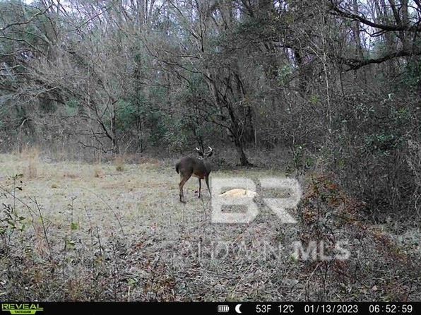 25010 County Road 71, Robertsdale, AL 36567