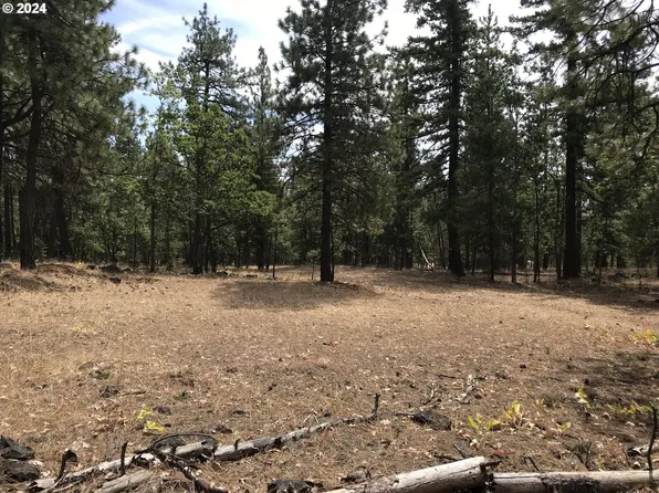 166 W Balsam Way, Goldendale, WA 98620