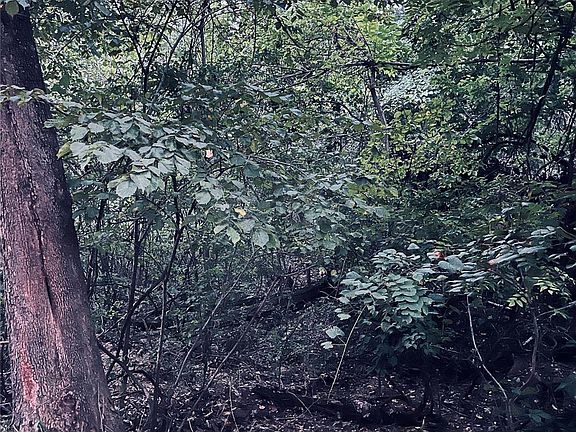 2nd image of 6032 Betty Ln