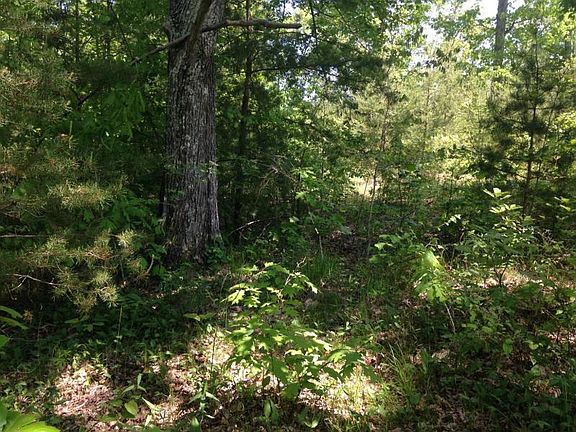 2nd image of 00 Meadow Dr