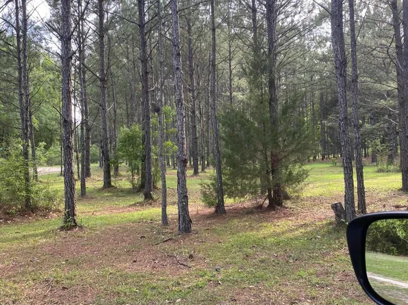 1680 Will Lee Rd, Bonifay, FL 32425