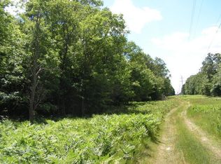 Railroad Trl, Grayling, MI 49738