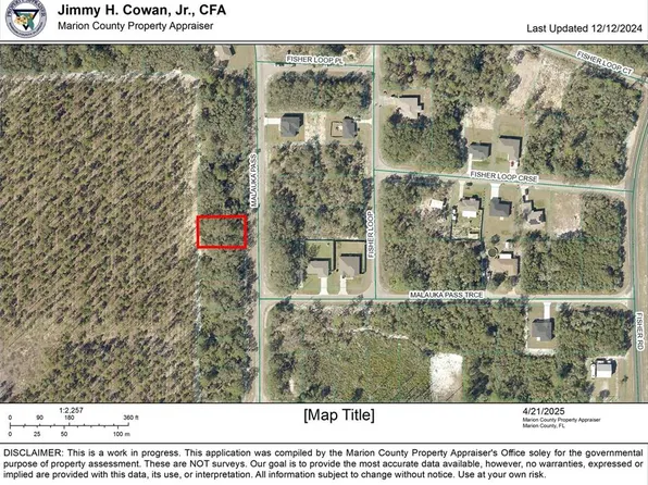 Malauka Pass #6, Ocklawaha, FL 32179