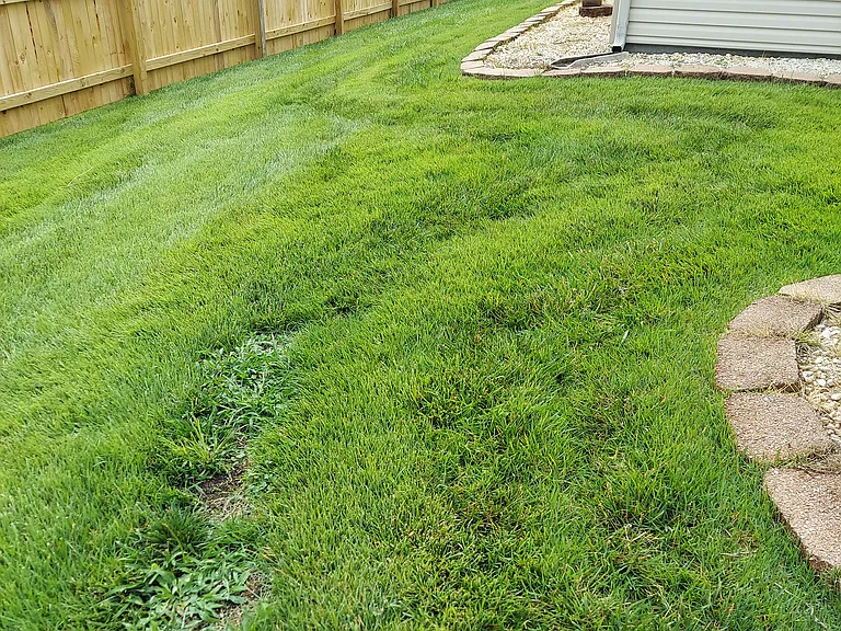 1335 Windamere Rd — Photo 21