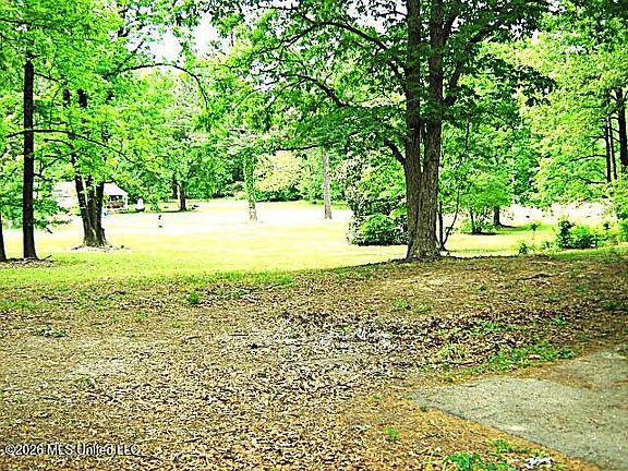 4th image of 3630 Debbie Ln
