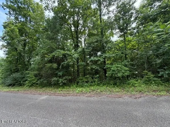 Saddleridge Dr, Speedwell, TN 37870