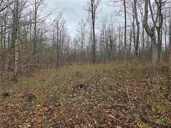 2nd image of LOT 7 High Pines Trl