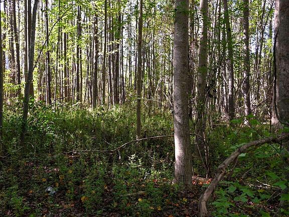 5th image of 906 Shaw Mill Rd