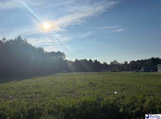 1111 Marion Church Rd, Salters, SC 29590