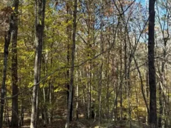 70 Highlands Dr, Oxford, MS 38655