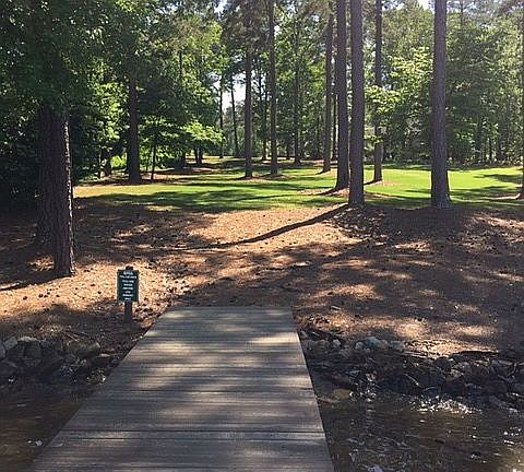 Green space by dock