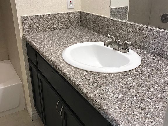 Master bathroom sink area it is separate from shower and toilet area