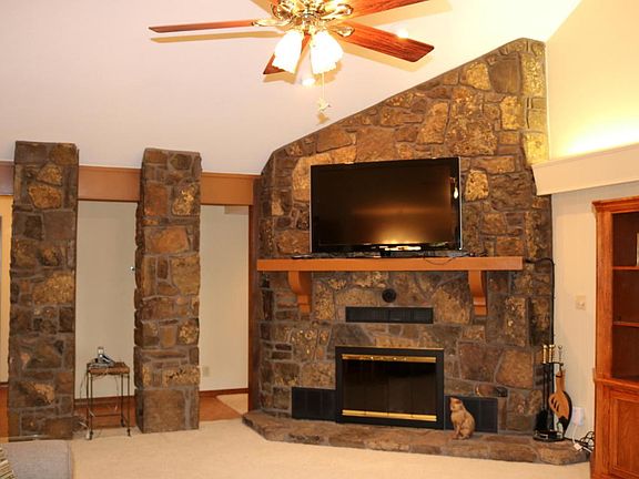 Wood burning fireplace