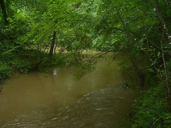 5th image of Holly Dr