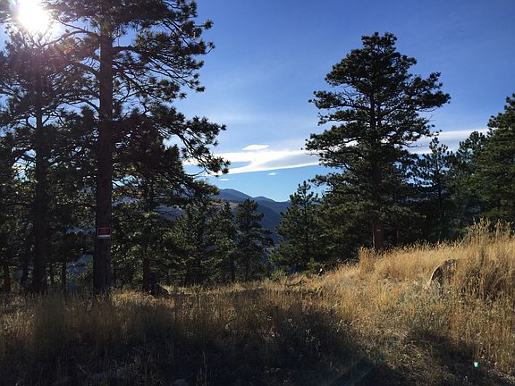 build site view southwest