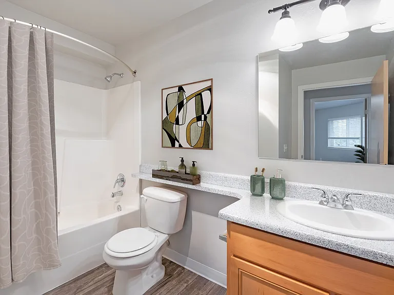 1x1 - 663 SF - Bathroom