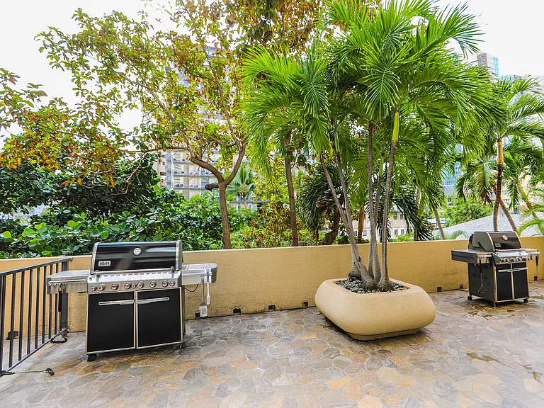 2215 Aloha Dr #1205 — Photo 38