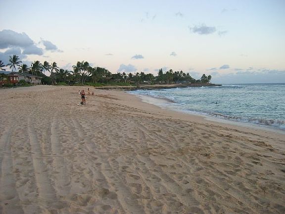 Sandy beach from the backyard