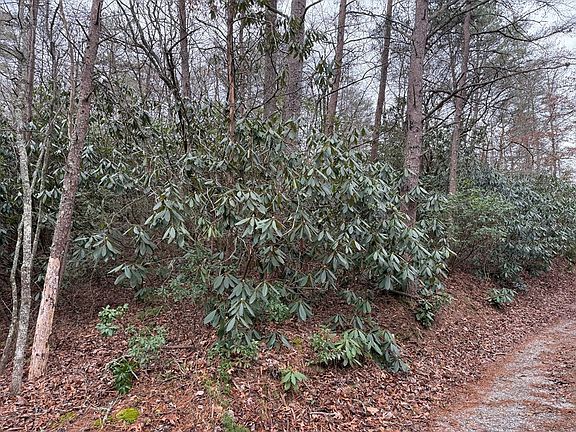 3rd image of 7 & 8 Ideal Acres