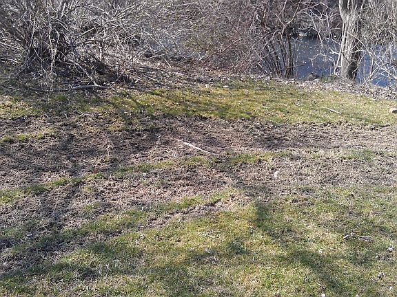 5th image of 59 Furnace Trl