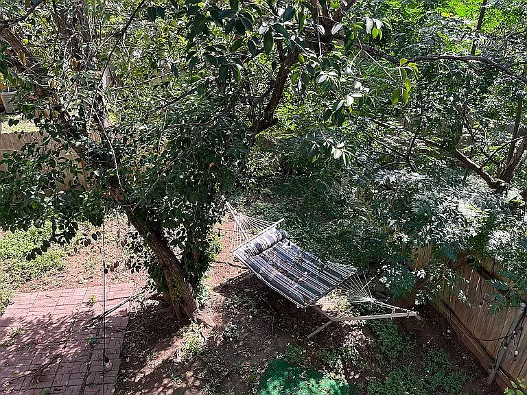 1500 Cinnamon Path #A — Photo 23