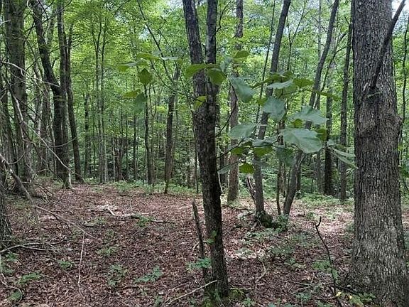 2nd image of 3 S Pittsburg Mountain Rd Lot 3B