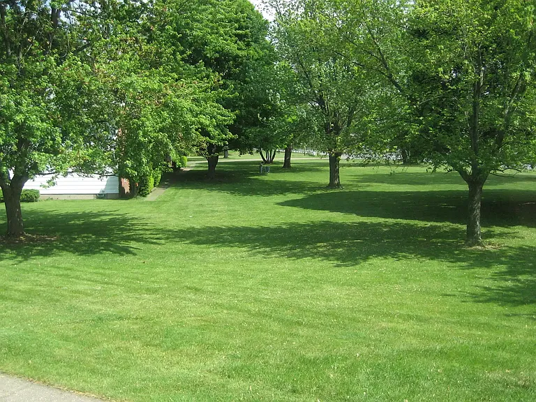 Lovely grassy areas