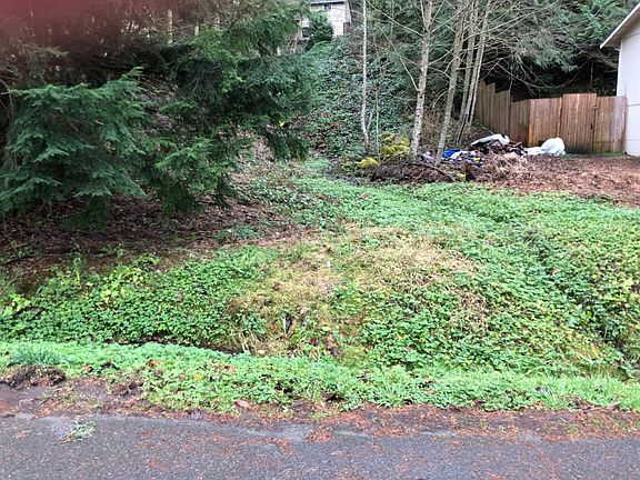 4th image of 44619 SE 151st St
